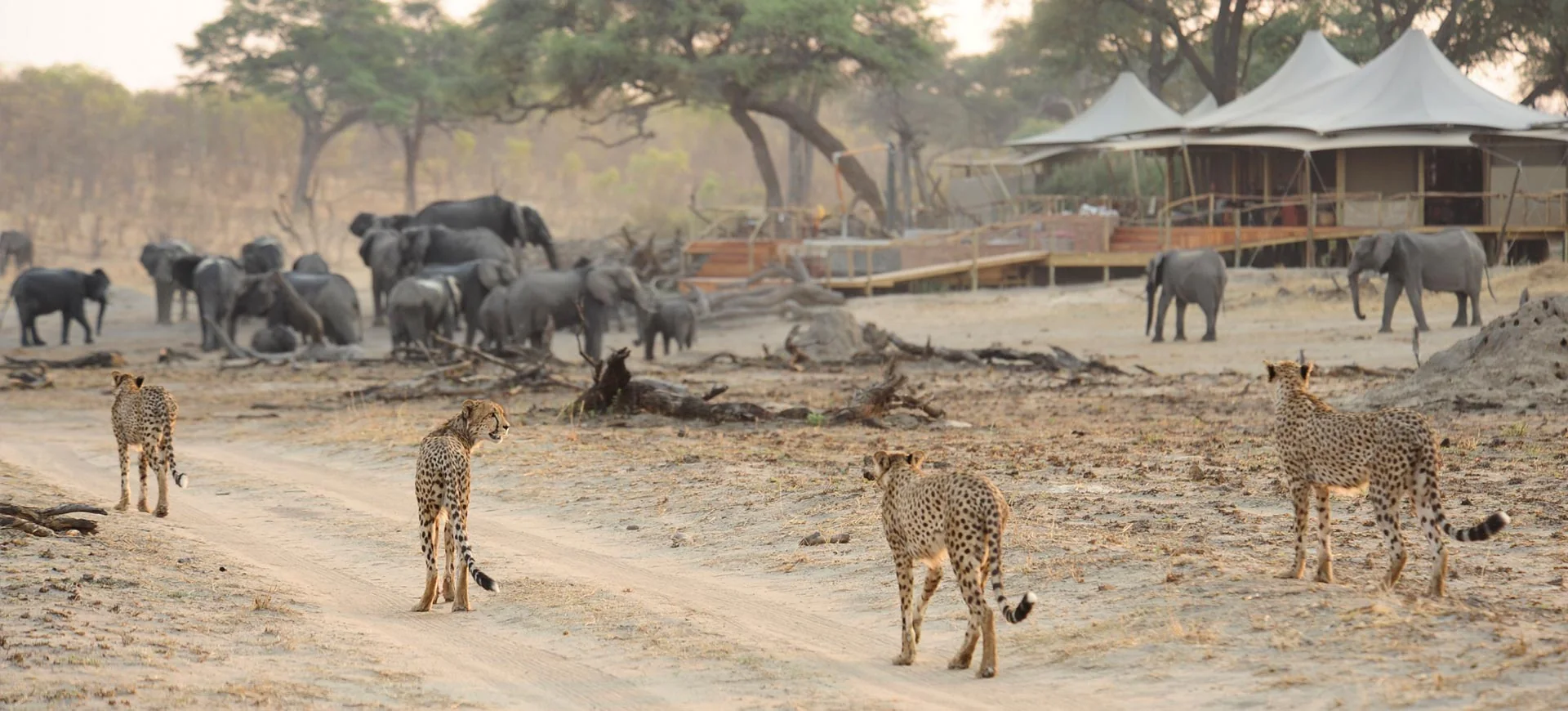 7 Days Safari - Zimbabwe & Botswana