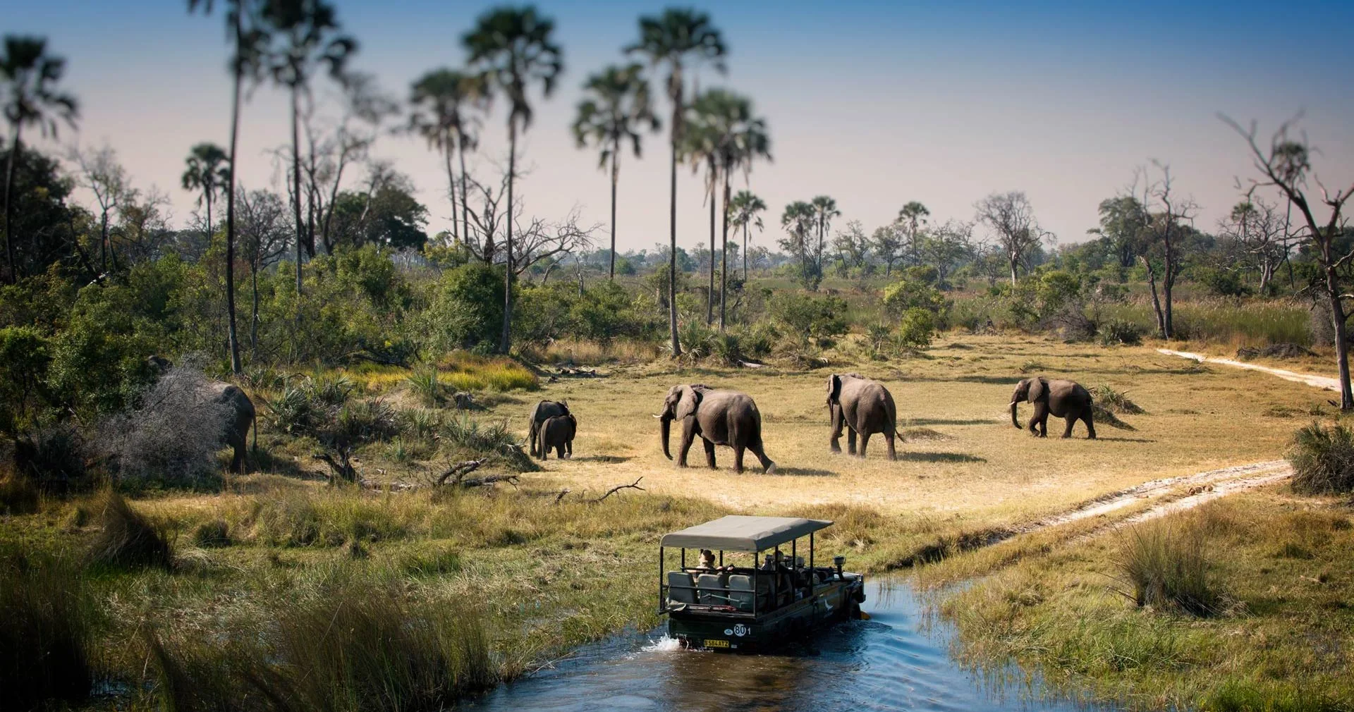 7 Days Zimbabwe - Botswana Safari