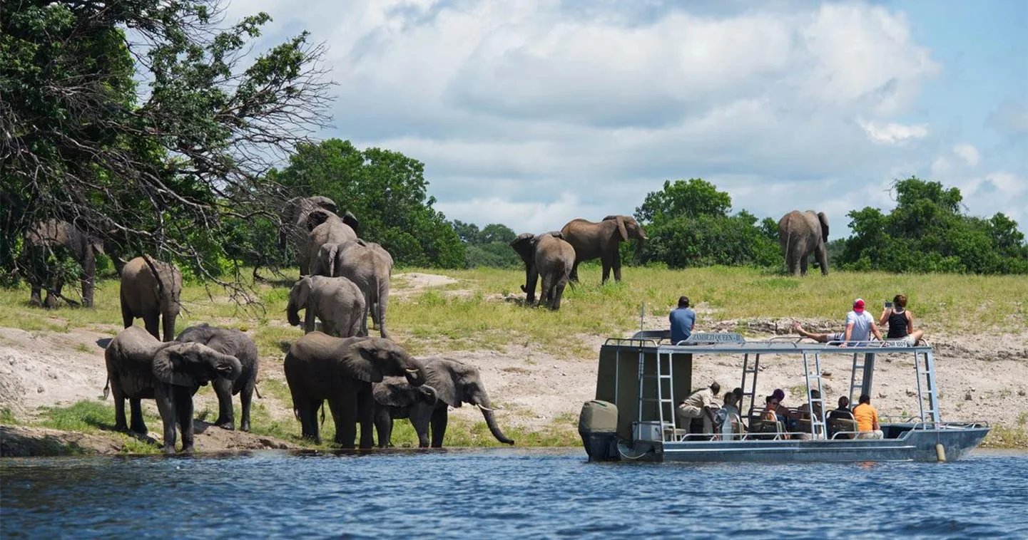 5 Days Victoria Falls - Chobe Birding Excursion