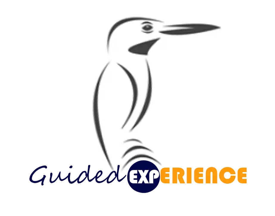 Guided Experience