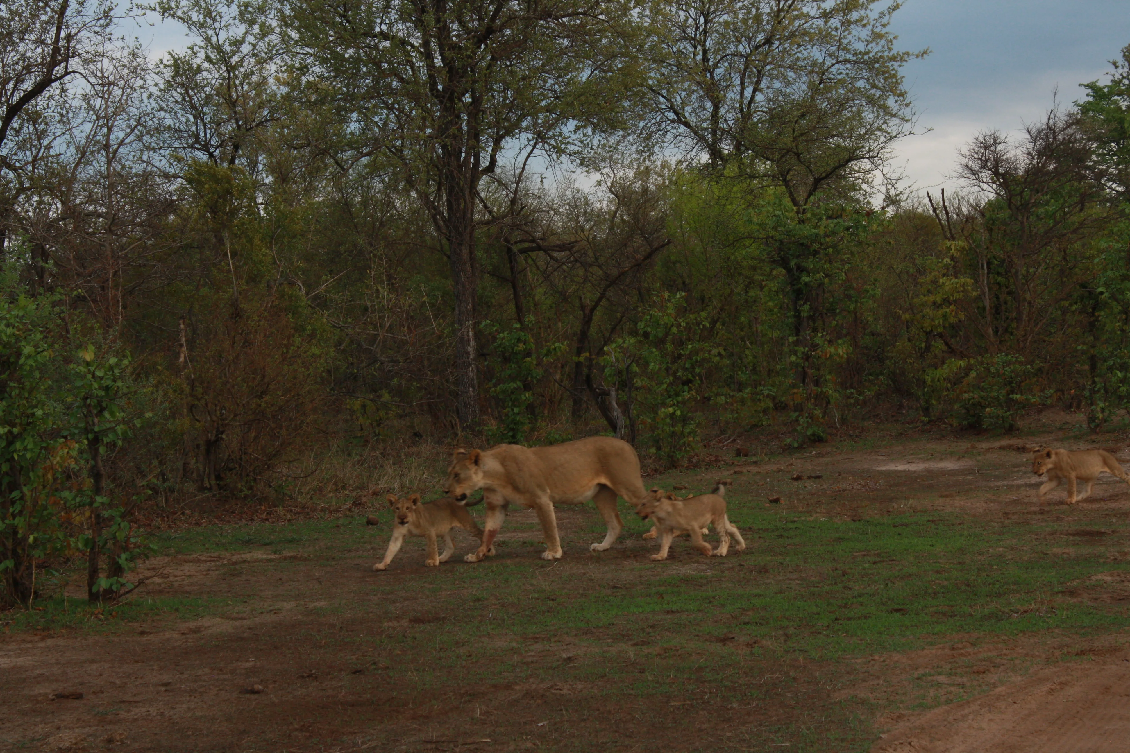 Southern Africa Escape 15