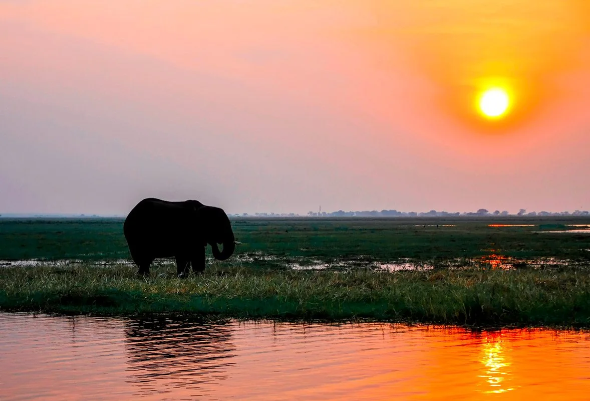 Day 1: Arrival and Zambezi Cruise