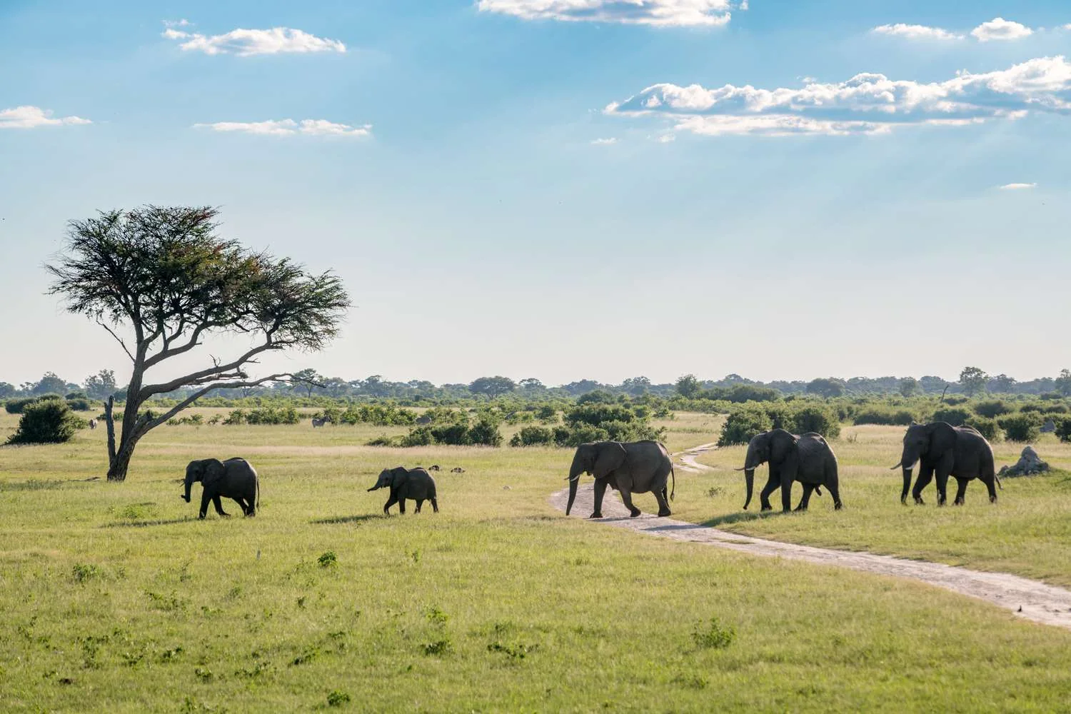 Day 2: Guided Tour Of The Falls & Night Game Drive Incl Bush Dinner