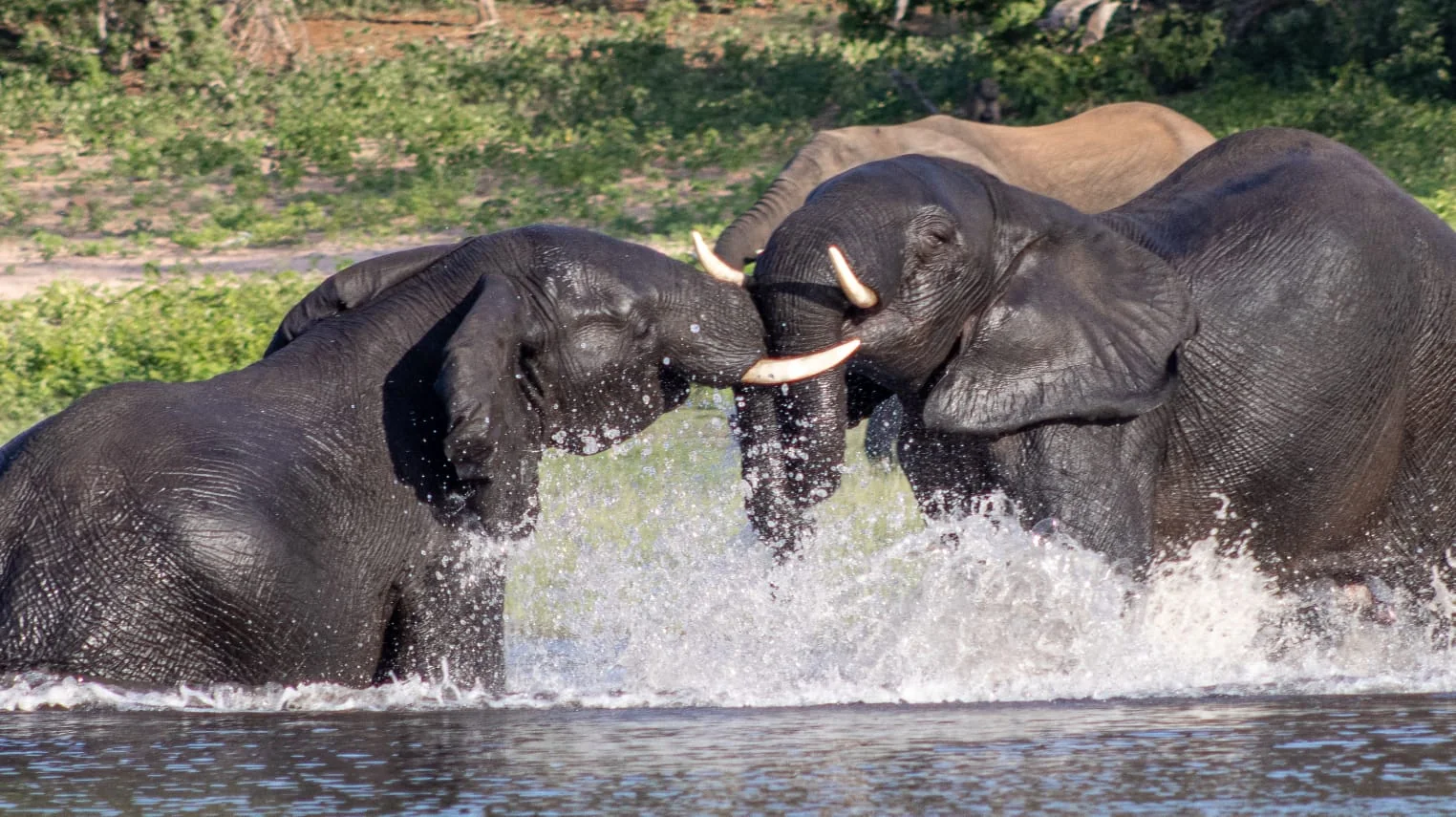 3 Days in Victoria Falls
