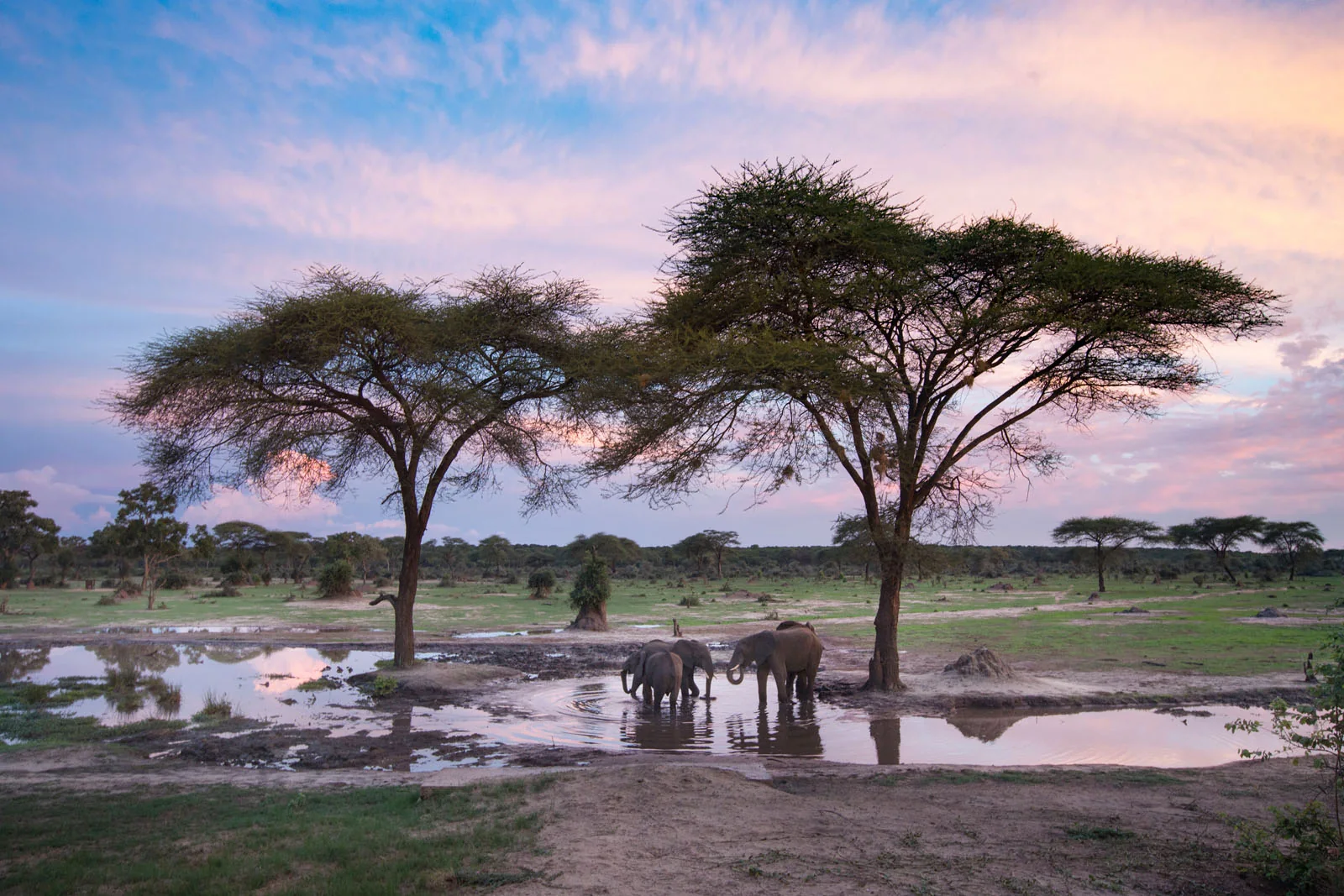 6 Days Victoria Falls - Hwange National Park