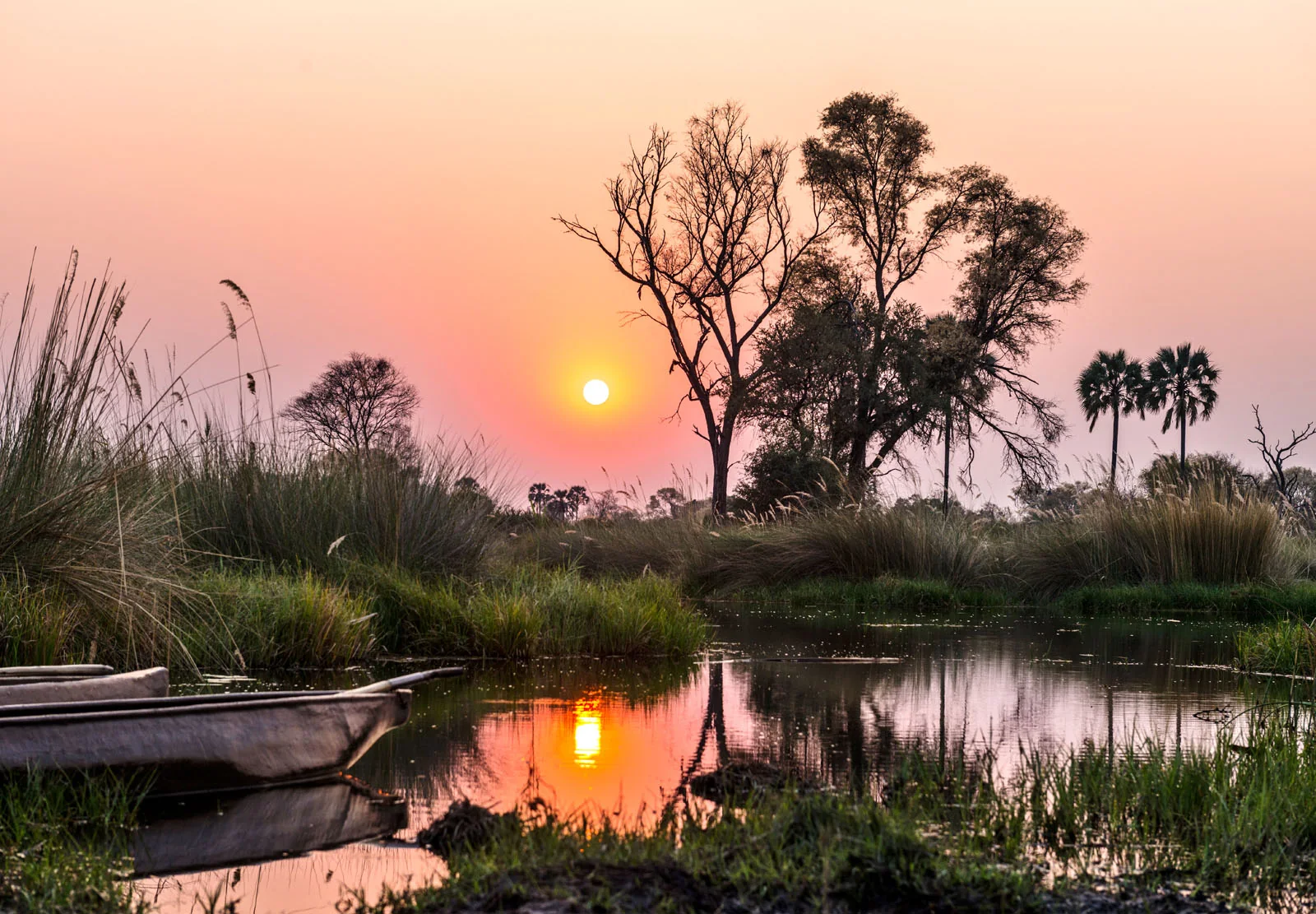 Day 4: Okavango Delta & Return